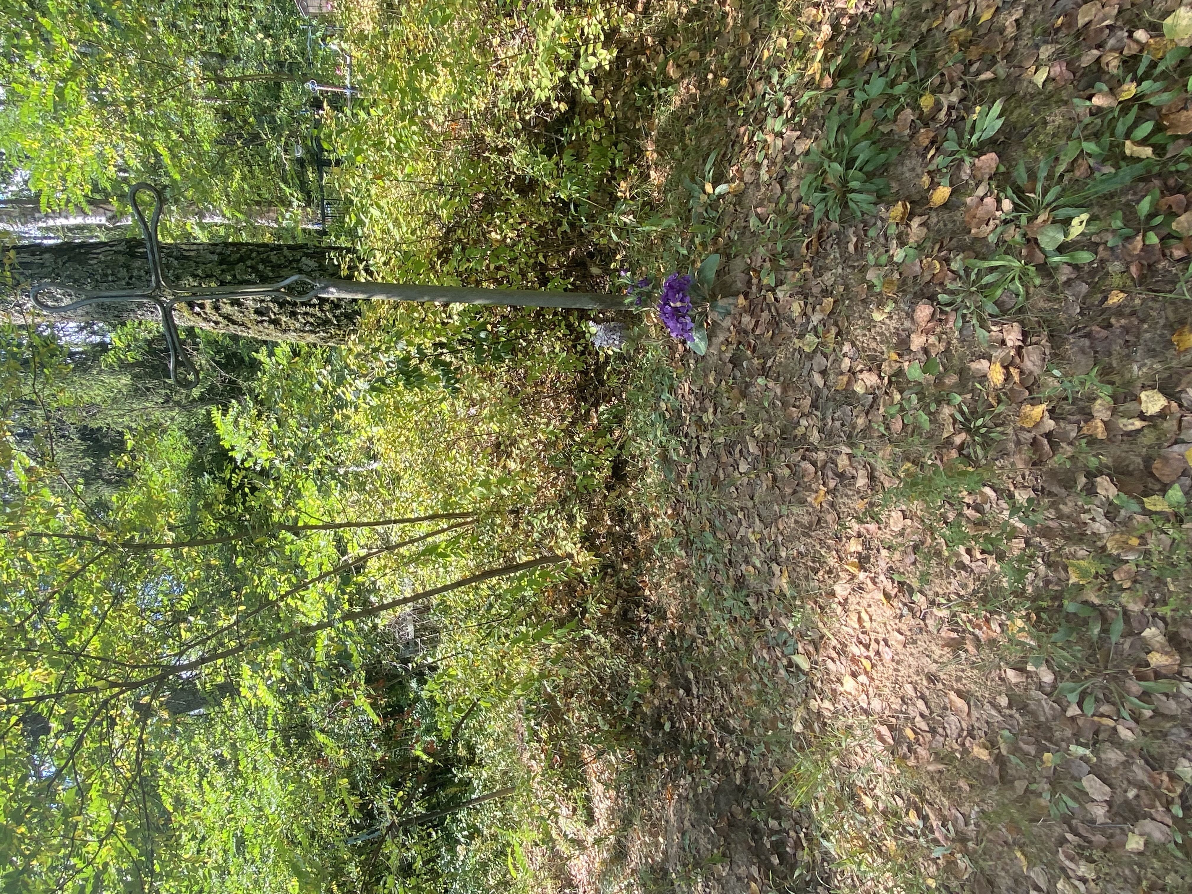 Фотография надгробия